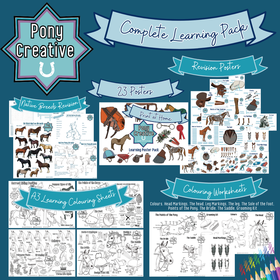 Pony Creative - COMPLETE PACK OF LEARNING PRINTABLES