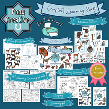 Load image into Gallery viewer, Pony Creative - COMPLETE PACK OF LEARNING PRINTABLES
