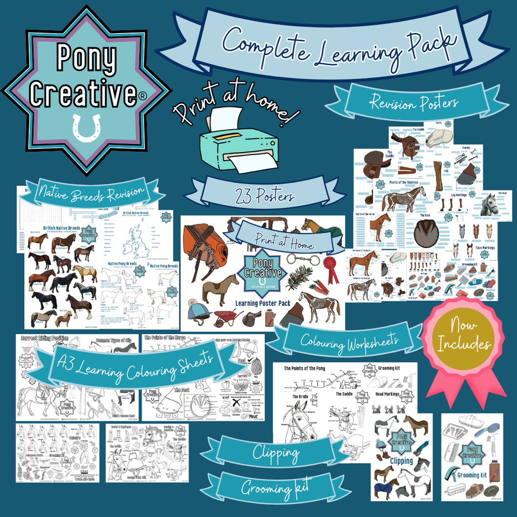 Pony Creative - COMPLETE PACK OF LEARNING PRINTABLES