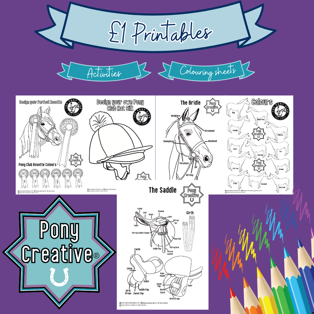 Pony Creative Colouring sheets £1 Printables