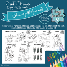 Load image into Gallery viewer, Pony Creative - COMPLETE PACK OF LEARNING PRINTABLES
