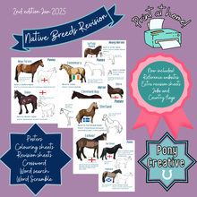 Load image into Gallery viewer, Pony Creative - COMPLETE PACK OF LEARNING PRINTABLES
