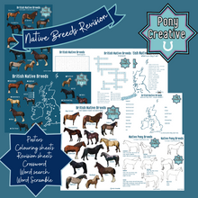 Load image into Gallery viewer, Pony Creative - COMPLETE PACK OF LEARNING PRINTABLES
