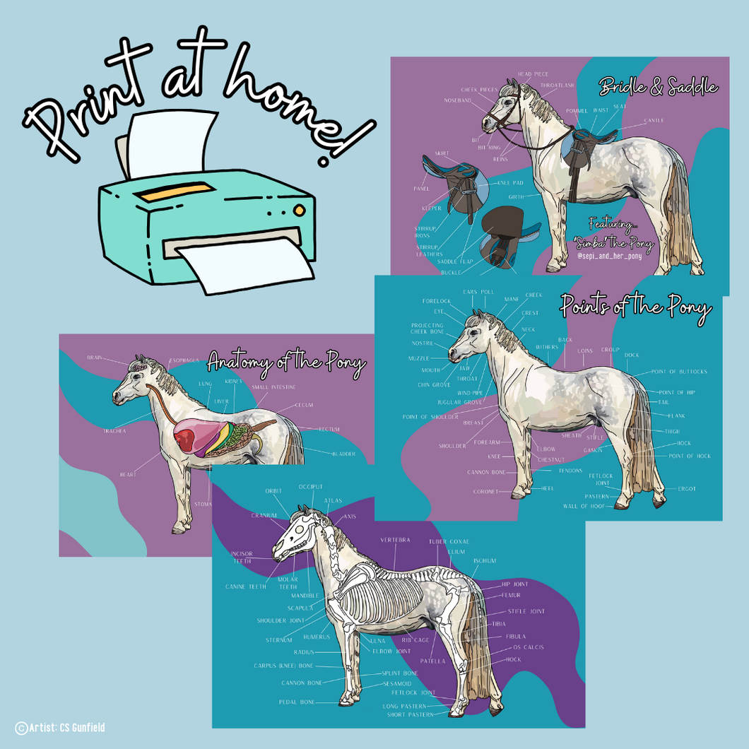 Pony Creative - Pony Posters Set of 4