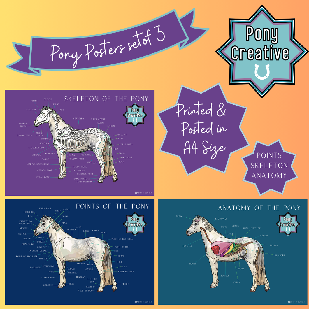 Pony Creative - Pony Posters Set of 3 Professionally Printed