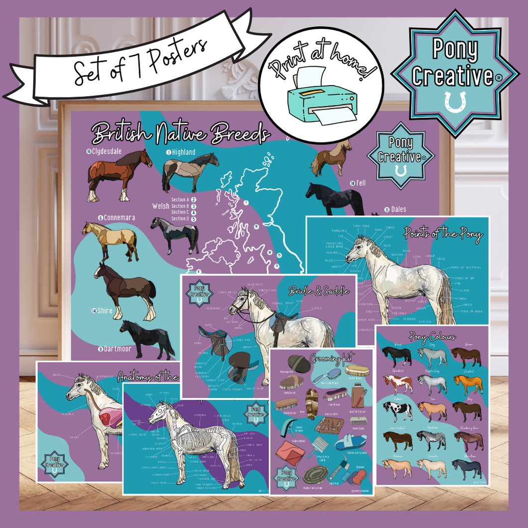 Pony Creative - Set of 7 posters (Print at Home)